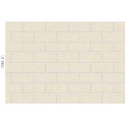 Обои 7194-01 Euro-Decor 1,06х 10,05 м.; осн. Флизелин, тип: Винил горячего теснения; Раппорт 64 см.