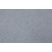 СНЯТ Обои HC72276-41 (8) р-р 1,06х10,05 м. флезелин ГТ раппорт НЕТ