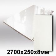 Панель ПВХ 0,25*3,0 м белая глянец КТ (лак)