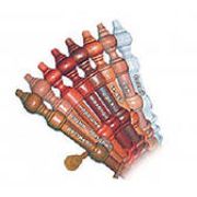 Карниз 2,4 м. стеновой, ДНК d28 пластик с U-шиной БУК