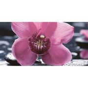 СНЯТ с ПР-ВА Кафель БОЛЕРО ОРХИДЕЯ декор 04-01-1-10-04-04-162-1 р-р 500х250х9 мм.