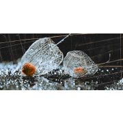 СНЯТО Кафель FANCY_IC декор Д225082-1 Черн. р-р 50х23 см. _ 1 \8