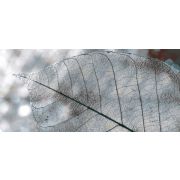 СНЯТО Кафель Magia декор Д61071 InterCerama Сер. 500х230х8 мм. ( 1/ 8шт.)
