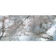 СНЯТО Кафель Magia декор Д61071-1 InterCerama Сер. 500х230х8 мм. (1 /8)